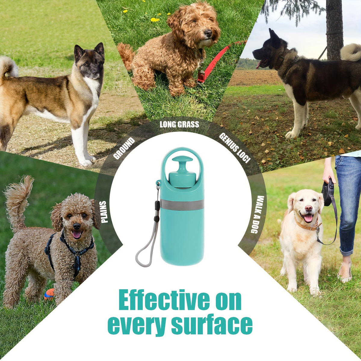 Ramasse-Crottes Portable pour Chien 🐕💩
