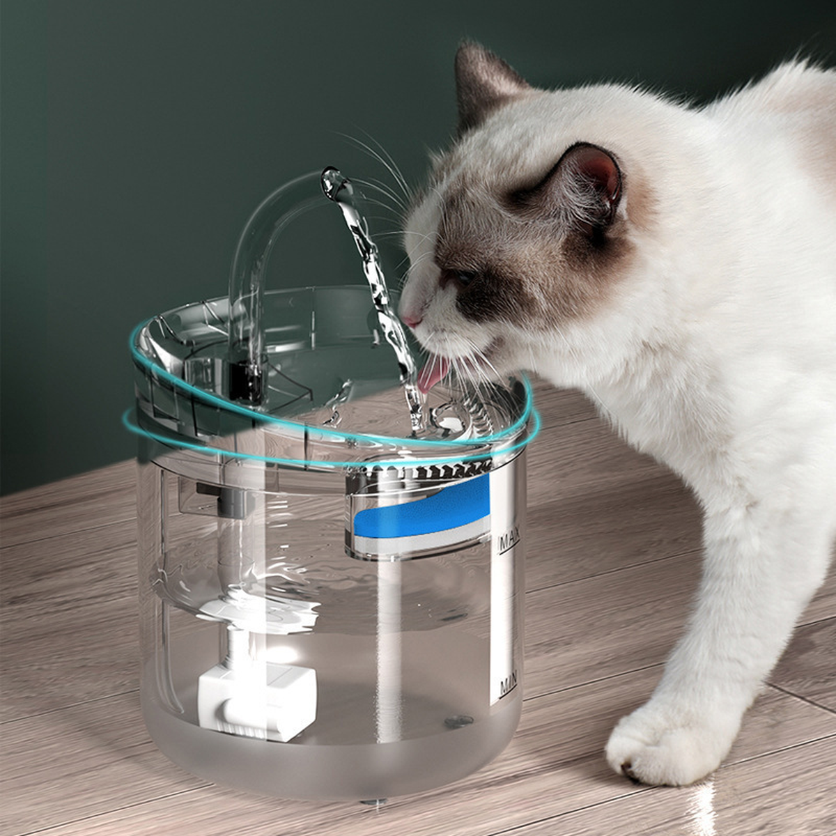 Fontaine à Eau pour Animaux 🐾💧