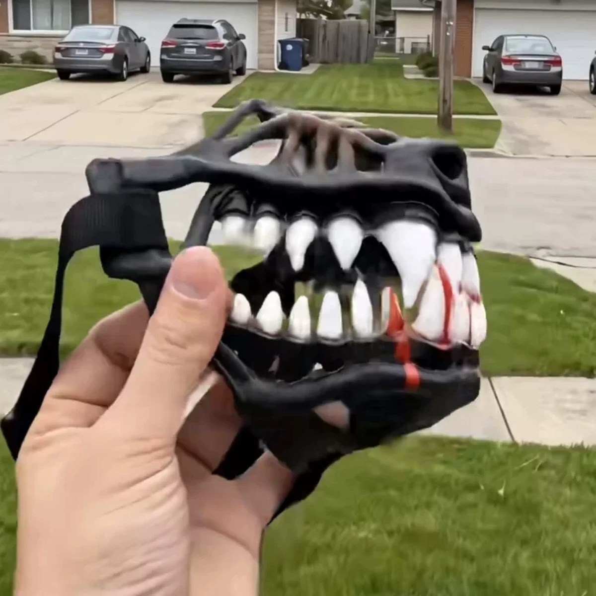 Muselière Fantaisie à Crocs pour Chien 🐕🦷