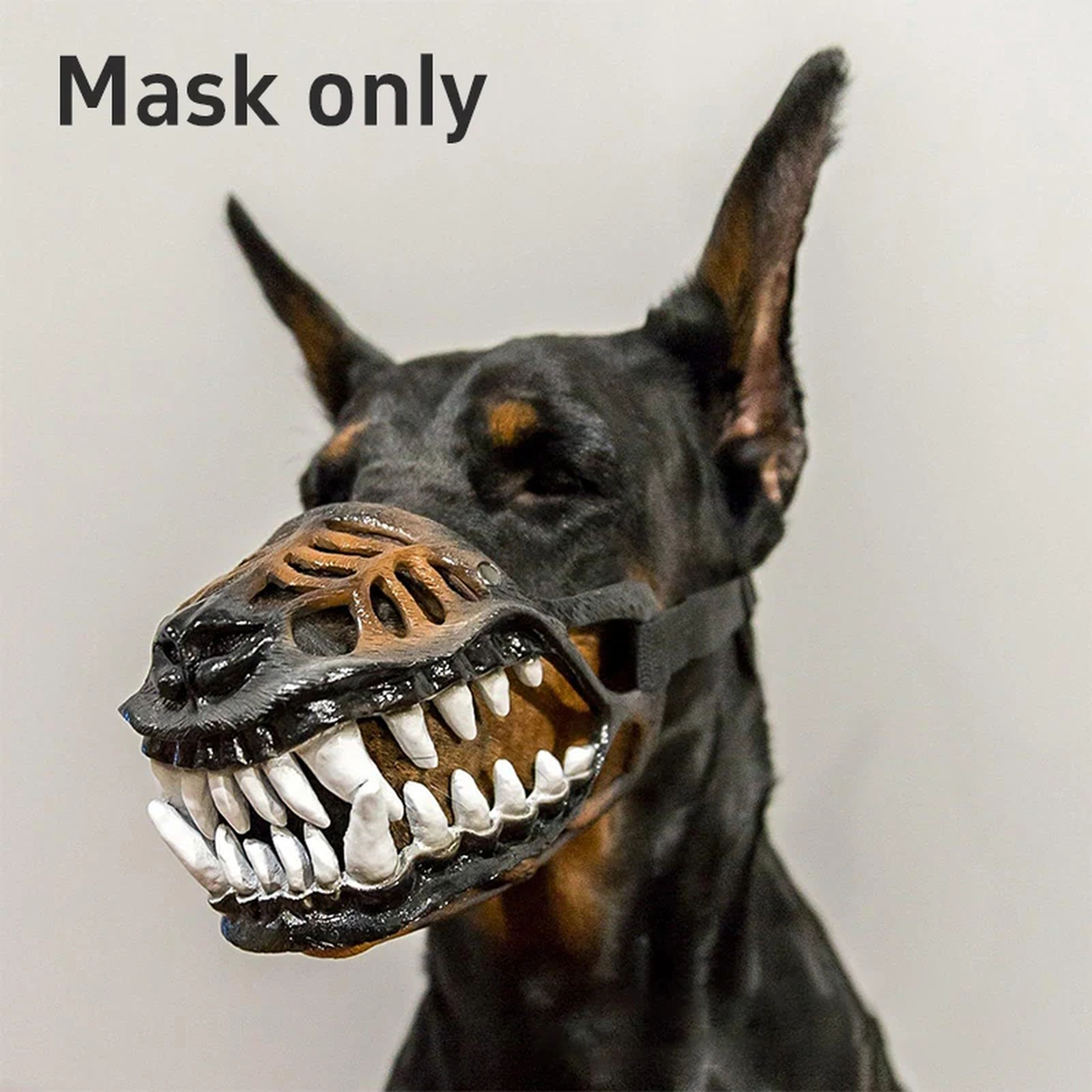 Muselière Fantaisie à Crocs pour Chien 🐕🦷